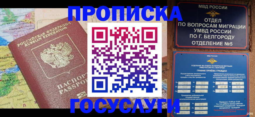 прописка регистрация в Кудрово